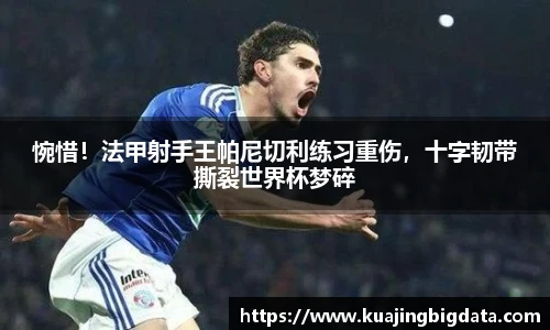 2026世界杯官方合作网站